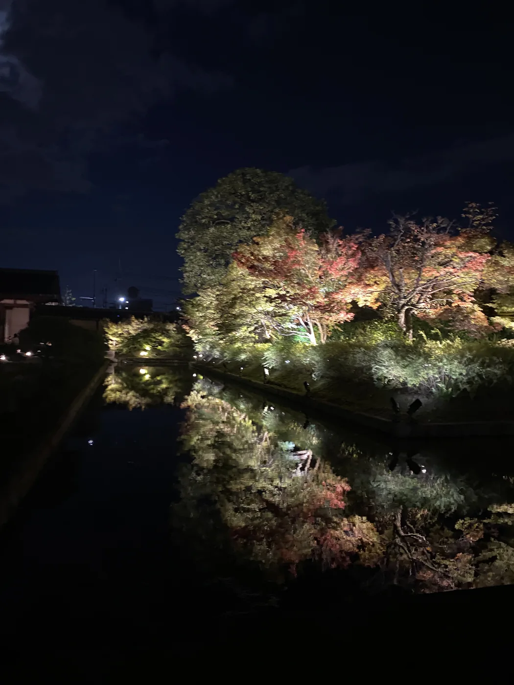 Nighttime Japan travel scene