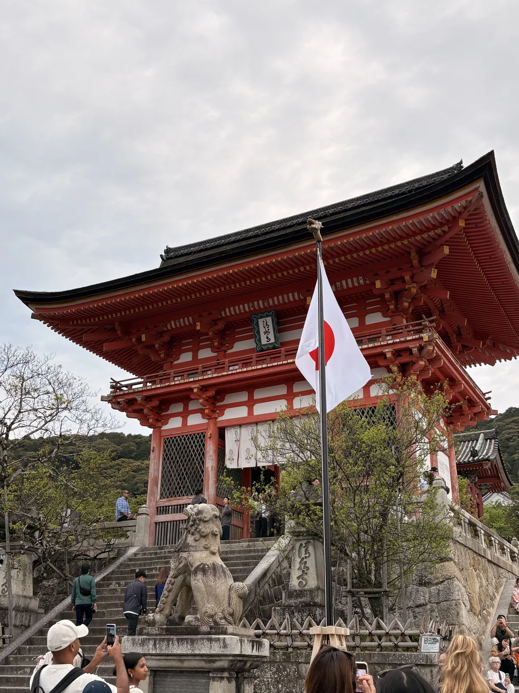 Daytime Japan travel scene